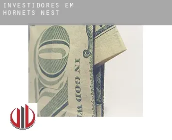 Investidores em  Hornets Nest