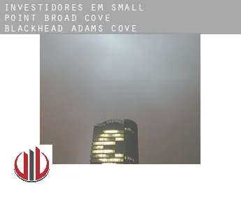 Investidores em  Small Point-Broad Cove-Blackhead-Adams Cove