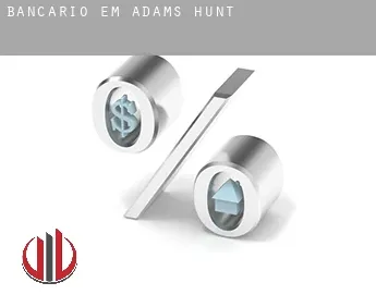 Bancário em  Adams Hunt