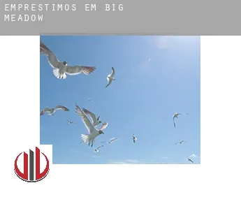 Empréstimos em  Big Meadow