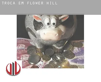 Troca em  Flower Hill