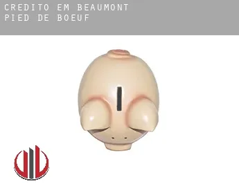 Crédito em  Beaumont-Pied-de-Bœuf