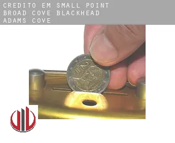 Crédito em  Small Point-Broad Cove-Blackhead-Adams Cove