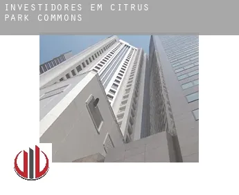 Investidores em  Citrus Park Commons