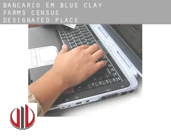 Bancário em  Blue Clay Farms