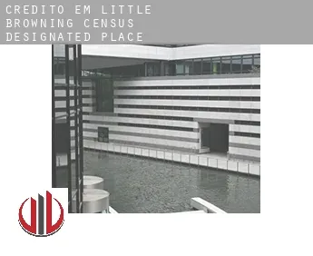 Crédito em  Little Browning